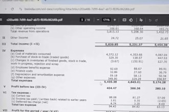 provide bookkeeping, accounting and ifrs reporting