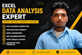 excel data analyst, data cleaning, dashboard and mis reports