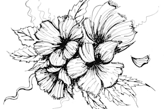 draw botanical and flower one line art illustration