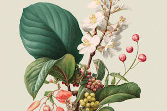 paint watercolor flowers and botanical illustrations
