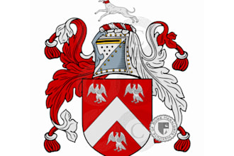 design a custom premium heraldic and luxury vintage logo