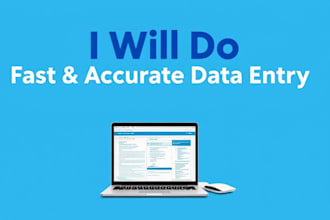 do fast  accurate data entry and typing work
