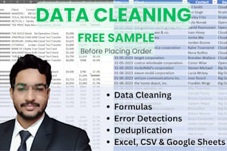 accurately clean and organize your messy data