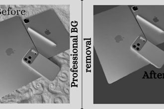 do professional bg removal and product photo editing in 24 hours