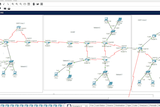 create topology and configure network