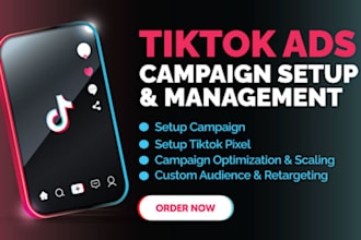 manage usa facebook ads, instagram ads and tiktok ads campaign, youtube ads