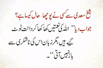 write professional urdu articles and blog posts