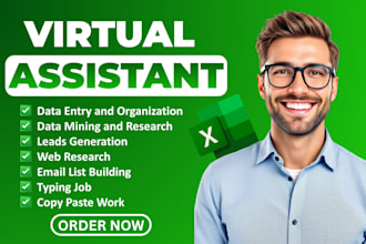 be your virtual assistant for data entry and lead generation