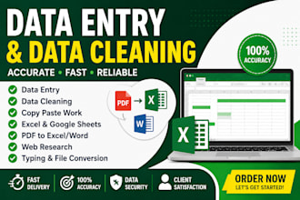 data entry data ,data cleaning,excel dataentry,data analysis
