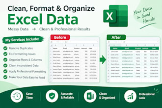 clean format and organize excel data