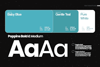 design a professional brand guidelines