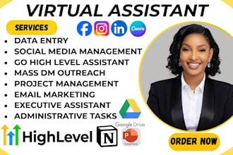 virtual admin personal executive assistant ghl expert social media manager zoho