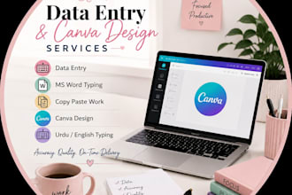 do data entry, copy paste, typing and assignment work