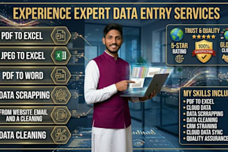 build a professional excel spreadsheet and dashboard for your business