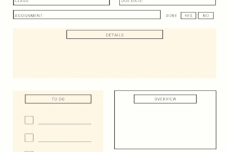 do canva presentations, assignment work, and ms word typing