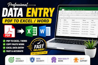 data entry, pdf to excel data entry