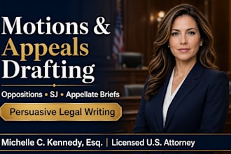 draft appellate briefs court motions and complex legal pleadings as US attorney