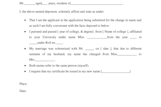 provide legal drafting and research assistance