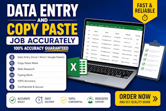 do data entry and copy paste job accurately