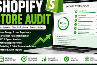 do a professional shopify store audit and conversion analysis