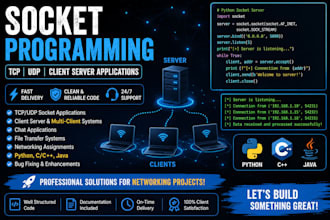 do socket programming projects in python cpp or java
