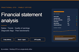 analyze your financial statements and flag the issues only a cfo would