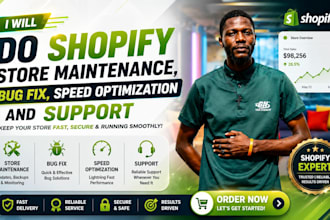 do shopify store maintenance, bug fix, speed optimization and support