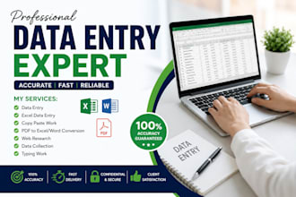 do fast and accurate excel data entry