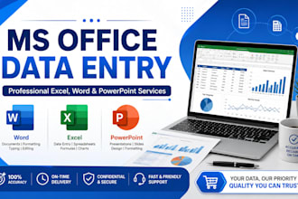 do professional data entry, excel, word, and ms office work