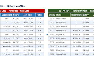 clean, organize and analyze your excel data professionally