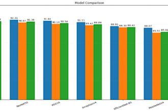 build machine learning model for image classification and computer vision