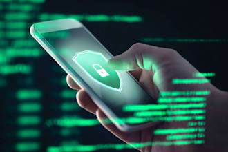 brute force, cyber attack, malware removal, information security, ddos attack
