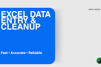 do excel data entry, cleanup and spreadsheet formatting