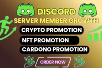 do discord server promotion, discord advertising, fivem rust dayz promotion