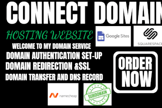 connect domain, fix dns issues, setup shopify and google workspace, dns domain