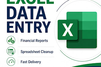 do excel data entry, financial reports and spreadsheet cleanup