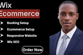 build a professional wix ecommerce website