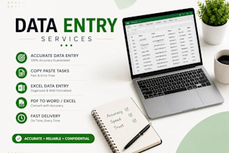 do accurate data entry , copy paste , tally erp9