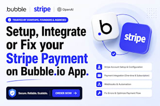 setup stripe payment on bubble io website development, bubble io developer