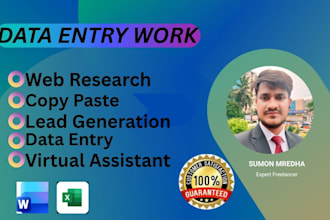 do accurate data entry copy paste web research virtual assistant work