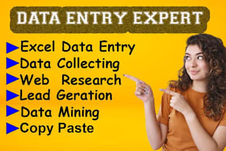 fast and accurate data entry, excel work, copy paste, and web research