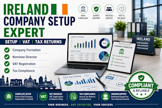do ireland company setup, nominee director, tax returns and vat registration