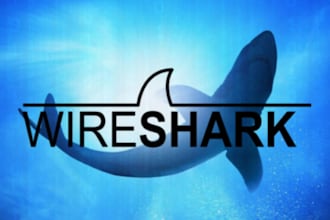 do wireshark packet capture traffic analysis and network troubleshooting