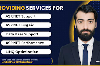 provide asp dot net support and bug fixing for web api