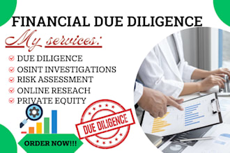 do 3rd party asset allocation, asset tracing, audit and due dilligence report