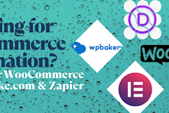 improve wordpress speed, optimization and automation