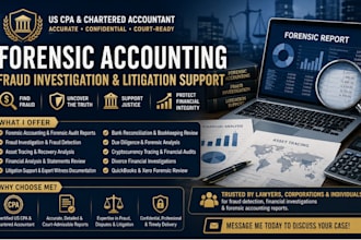 provide forensic accounting, fraud investigation and litigation support