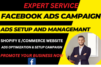 expertly setup facebook paid ads campaign with fb advertising marketing manager