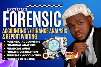 conduct forensic accounting, fraud investigation, finance analysis with report
