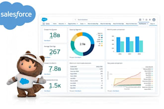 provide salesforce admin and functional support